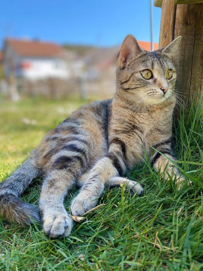 Naturspiel Posing Экстерьер фото